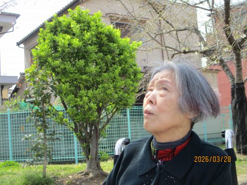 私は女優/清々しいわ