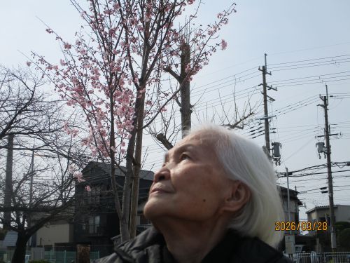 空の向こうに宇宙があります/夢は叶えるもの